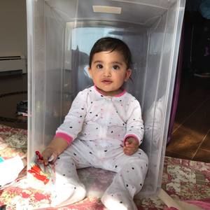 Meet your Posher, Daljit